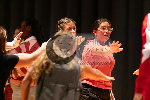 2026-07-27 PMP HS Musical Jr-5691
