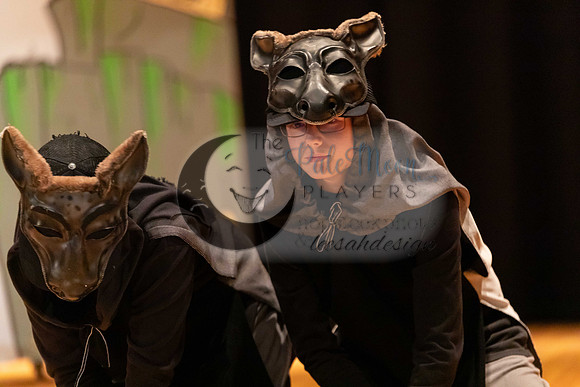 2023PMPLionKing-3576