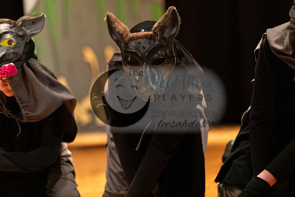 2023PMPLionKing-3575