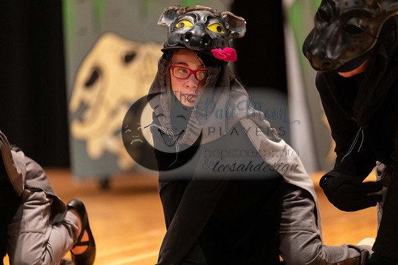 2023PMPLionKing-3574
