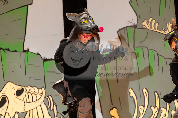 2023PMPLionKing-3562