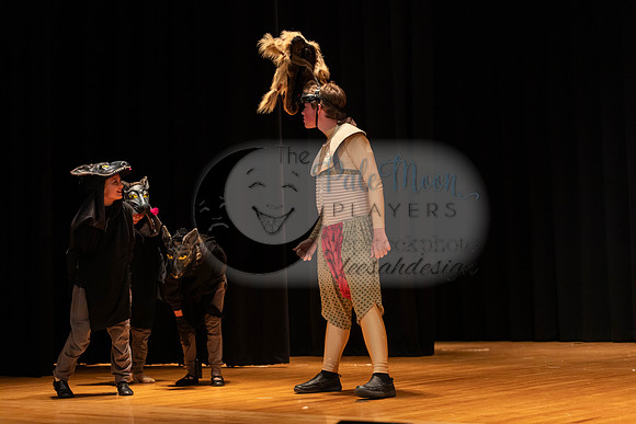 2023PMPLionKing-3557