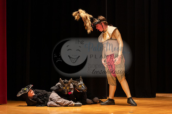 2023PMPLionKing-3555