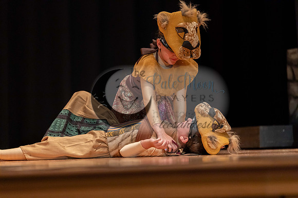 2023PMPLionKing-3534