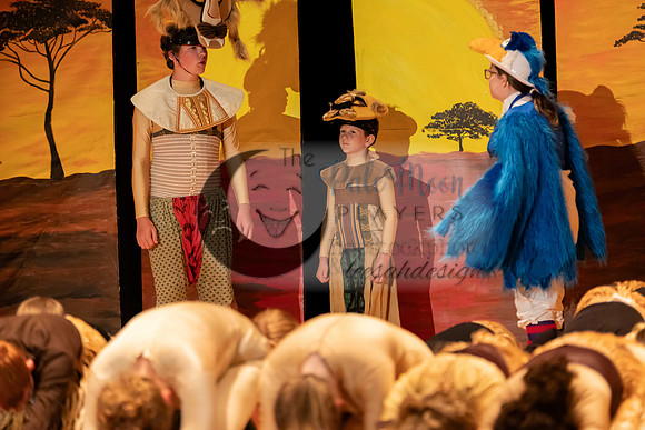 2023PMPLionKing-3457