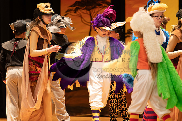 2023PMPLionKing-3394