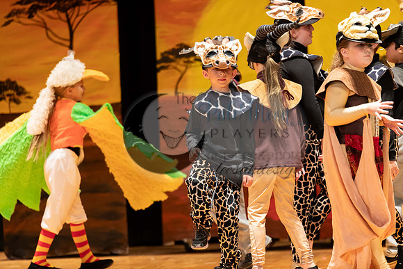 2023PMPLionKing-3392