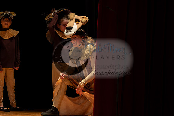 2023PMPLionKing-3361