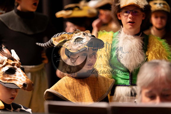2023PMPLionKing-3341