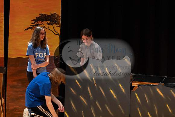 2023PMPLionKing-3328