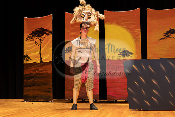 2023PMPLionKing-3304