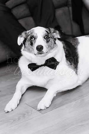 2017-10-29 Smith Wedding-4400-2