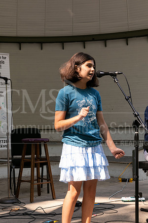 2022-09-17 Art in the Park-6016